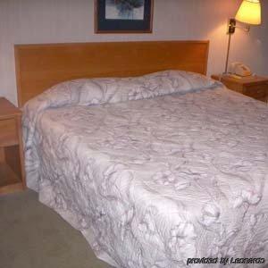 Princess Motel Maryville Phòng bức ảnh